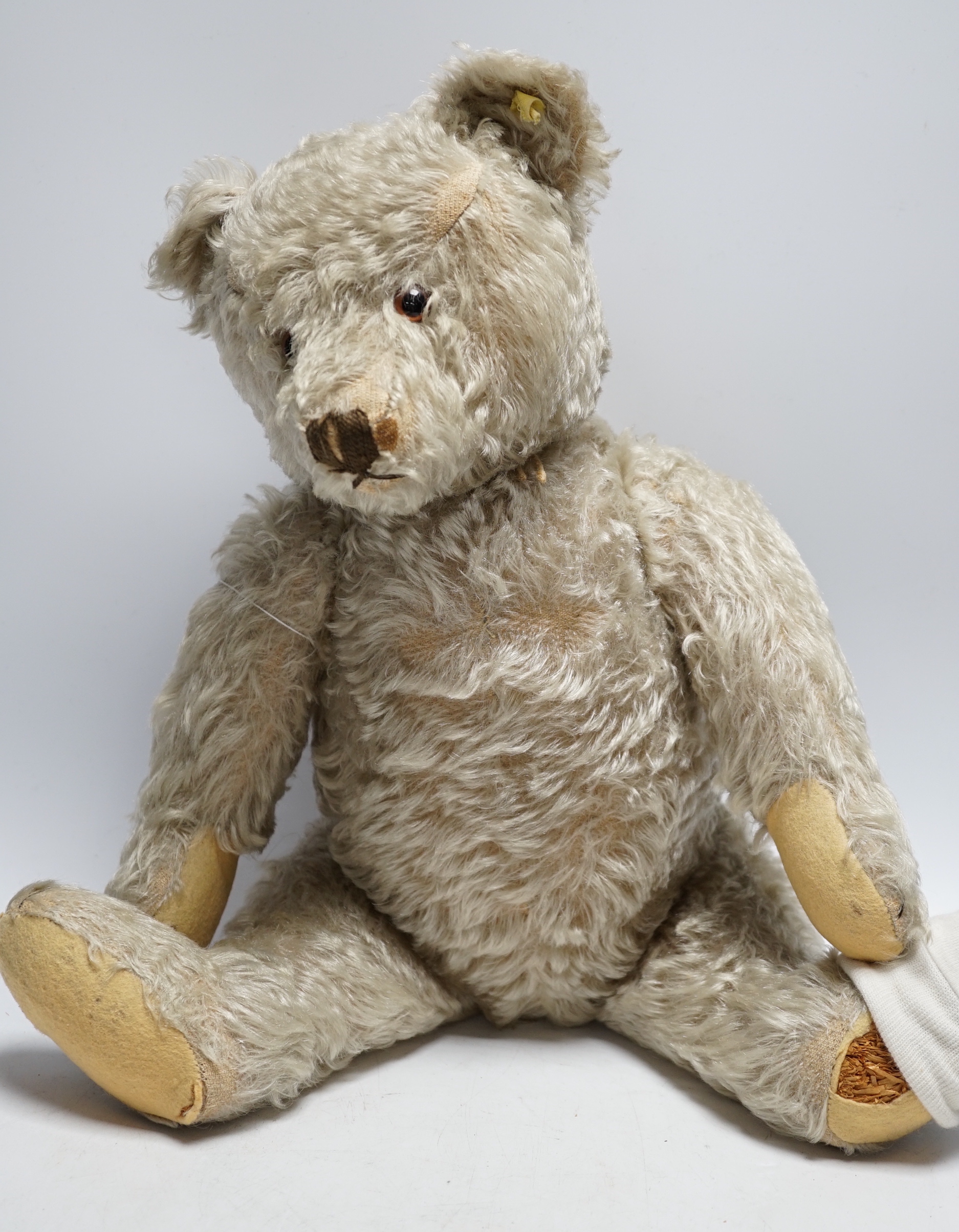 Steiff bear, c.1950's, button and label, 50cm, one ear loose, holes to paw pads, small patch of wear on chest